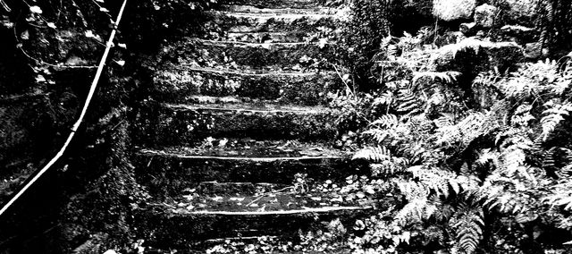 A black and white picture of an old, worn flight of steps between old stone walls - the Bedlam Steps in Baildon, near Bradford, UK.