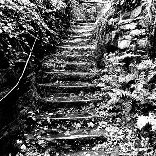 A black and white picture of the Bedlam Steps, Baildon, UK.