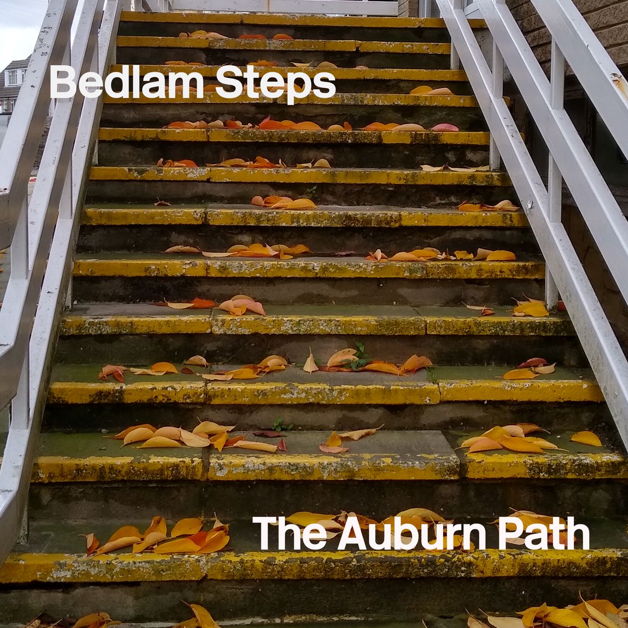 A flight of concrete steps covered in fallen autumn leaves