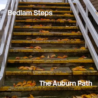 A flight of concrete steps covered in fallen autumn leaves